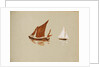 Brown and white sailboats by May Morris