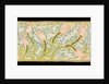 Tulip and acanthus runner by Elsie Couper