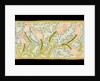 Tulip and acanthus runner by Elsie Couper