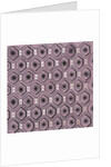 Design for wallpaper by Heussner & Co
