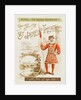 Front cover of the programme for The Importance of Being Earnest at St James's Theatre by Anonymous