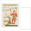 Front cover of the programme for The Importance of Being Earnest at St James's Theatre by Anonymous