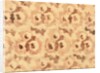 Design for a printed textile by Paul Nash