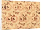 Design for a printed textile by Paul Nash