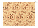 Design for a printed textile by Paul Nash