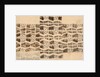 Design for a printed textile by Paul Nash