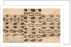 Design for a printed textile by Paul Nash
