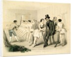 Dance lesson in a Room of Rats by Frank Teichel