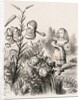 Alice and the Flowers by Dalziel Brothers