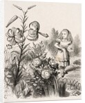 Alice and the Flowers by Dalziel Brothers