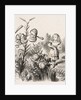 Alice and the Flowers by Dalziel Brothers