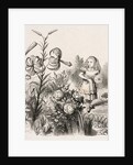 Alice and the Flowers by Dalziel Brothers