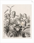 Alice and the Flowers by Dalziel Brothers