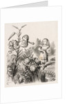 Alice and the Flowers by Dalziel Brothers