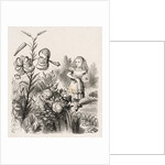 Alice and the Flowers by Dalziel Brothers