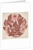Dish design with flowers and foliage by William de Morgan