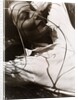Ellen by László Moholy-Nagy