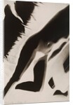 Akt Positiv, from Akt Positiv-Akt Negativ by László Moholy-Nagy