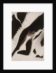 Akt Positiv, from Akt Positiv-Akt Negativ by László Moholy-Nagy