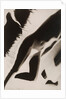 Akt Positiv, from Akt Positiv-Akt Negativ by László Moholy-Nagy