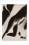 Akt Positiv, from Akt Positiv-Akt Negativ by László Moholy-Nagy