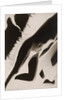 Akt Positiv, from Akt Positiv-Akt Negativ by László Moholy-Nagy