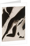 Akt Positiv, from Akt Positiv-Akt Negativ by László Moholy-Nagy