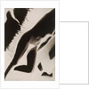 Akt Positiv, from Akt Positiv-Akt Negativ by László Moholy-Nagy