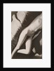 Akt Negativ, from Akt Positiv-Akt Negativ by László Moholy-Nagy
