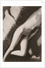 Akt Negativ, from Akt Positiv-Akt Negativ by László Moholy-Nagy