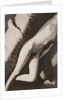 Akt Negativ, from Akt Positiv-Akt Negativ by László Moholy-Nagy