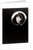 Fotogramm of segments and concentric circles of a sphere by László Moholy-Nagy