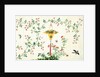 Bird and butterflies in flight around yellow hanging rattan basket of fruits by Unknown