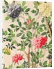 Wallpaper with large blooms of chrysanthemums and starfruits by unknown