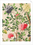 Wallpaper with large blooms of chrysanthemums and starfruits by unknown