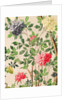 Wallpaper with large blooms of chrysanthemums and starfruits by unknown