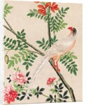 Wallpaper with white pheasant perching on branch by unknown