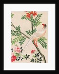 Wallpaper with white pheasant perching on branch by unknown