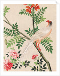 Wallpaper with white pheasant perching on branch by unknown