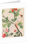 Wallpaper with white pheasant perching on branch by unknown