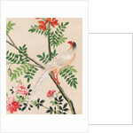 Wallpaper with white pheasant perching on branch by unknown