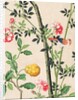 Wallpaper with small bird on branch beside a large yellow fruit by unknown