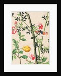 Wallpaper with small bird on branch beside a large yellow fruit by unknown