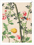Wallpaper with small bird on branch beside a large yellow fruit by unknown