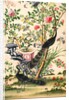 Wallpaper with pair of peacocks and a pot of starfruit by unknown