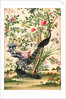 Wallpaper with pair of peacocks and a pot of starfruit by unknown