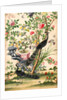 Wallpaper with pair of peacocks and a pot of starfruit by unknown