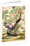 Wallpaper with pair of peacocks and a pot of starfruit by unknown