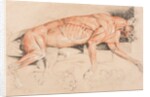 Ecorche drawing of a wild cat by Edwin Landseer