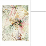 Design for chintz by William Kilburn